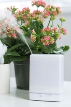 Load image into Gallery viewer, Aroma Lite Diffuser