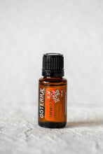 Load image into Gallery viewer, Harvest Spice Oil Blend 15ml