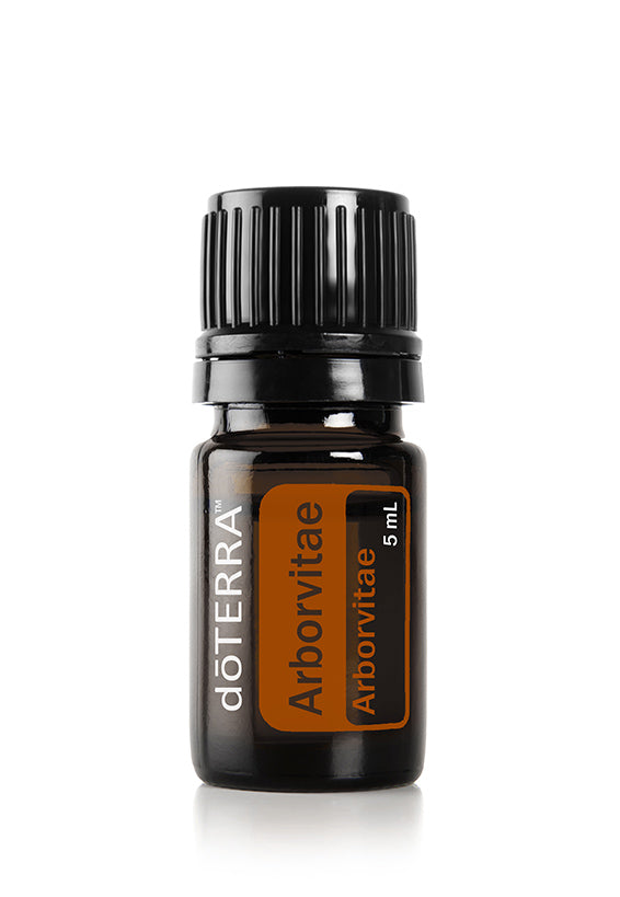 Arborvitae 5ml oil – Mirella's Ladies Boutique