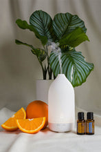 Load image into Gallery viewer, Laluz Diffuser with Wild Orange and Peppermint 15ml oil
